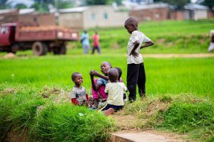 Children playing together outdoors on grass