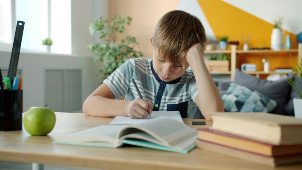 Child reviewing schoolwork regularly in short sessions