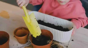 Child doing one small job at the start of a family tradition