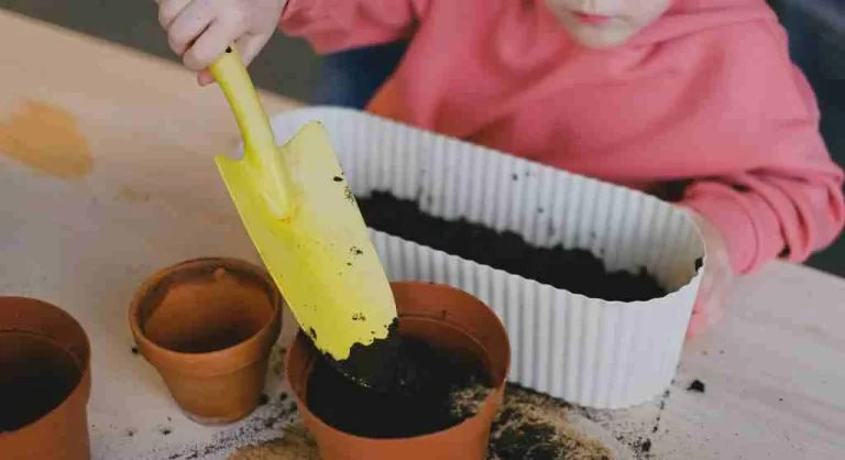 Child doing one small job at the start of a family tradition