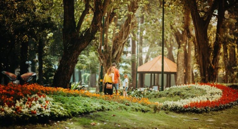 family playing in park together