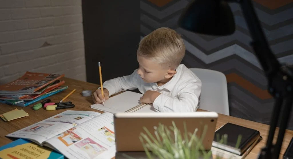 kid studying at desk with books
