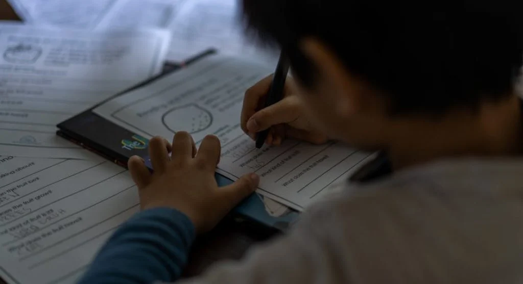 kid studying at desk with books